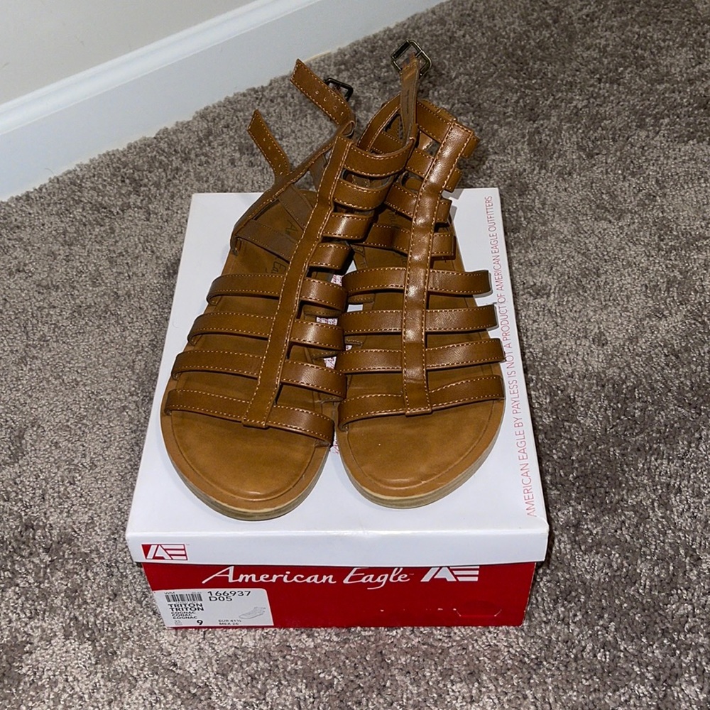 American Eagle Brown Triton